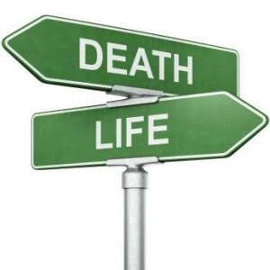 LifeOrDeath